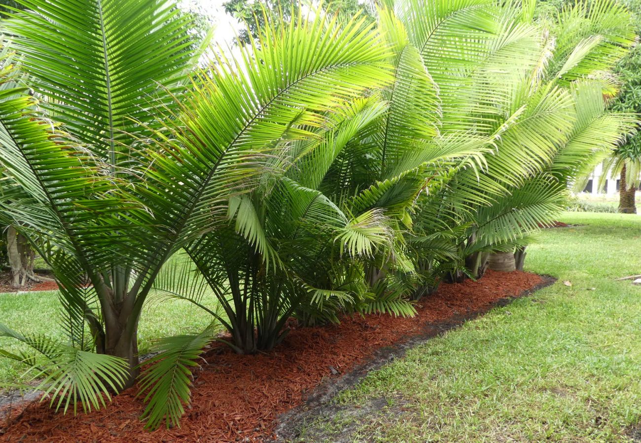 House in Cape Coral - CCVR Villa Paloma - Beautiful Off Water Home with South Facing Pool Area